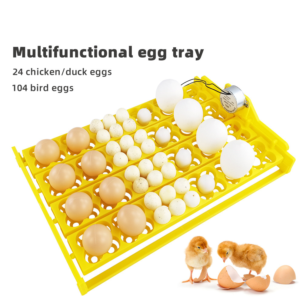 Quail Egg Incubator - 24 шт. лоток для инкубатора для