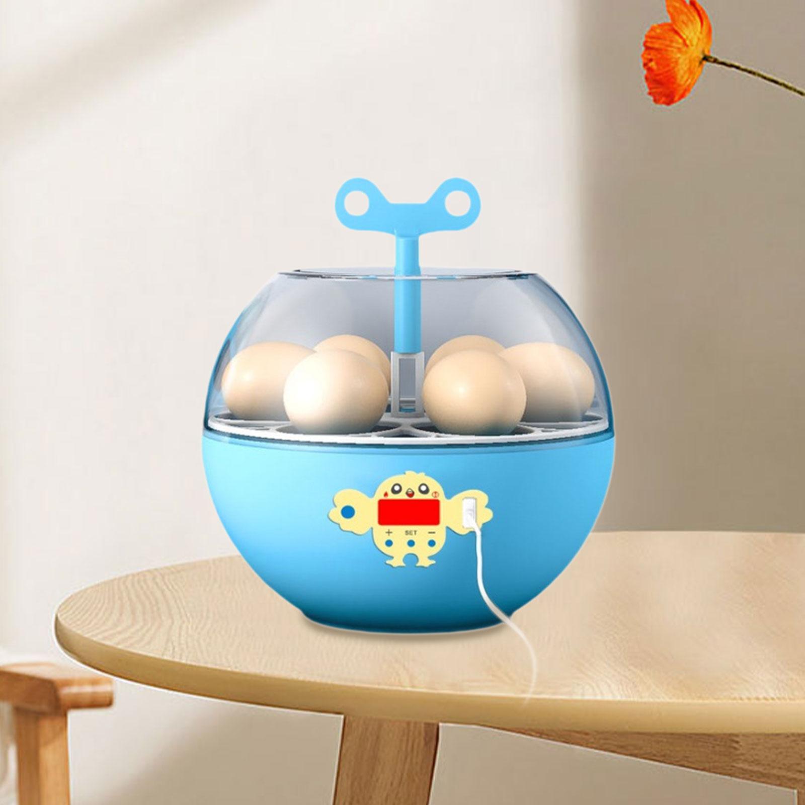 Quail Egg Incubator - Инкубатор на 6 яиц, мини-инкубатор с