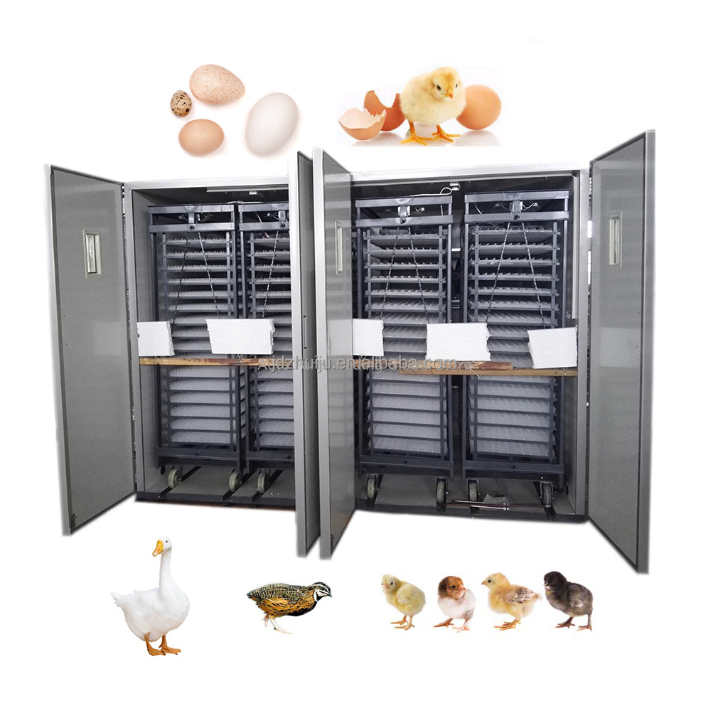 Инкубатор для яиц большой вмес – обзор и цена Quail Egg Incubator