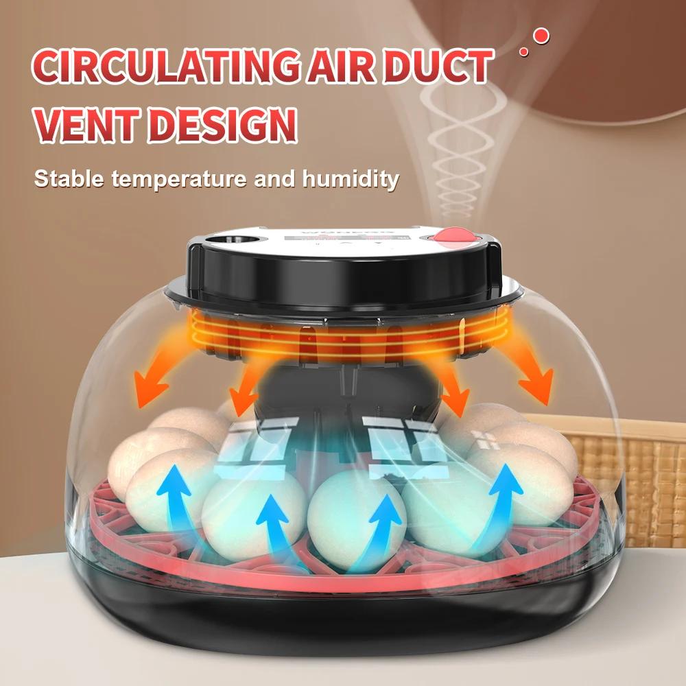 Инкубатор на 12 яиц с автомати – обзор и цена Quail Egg Incubator