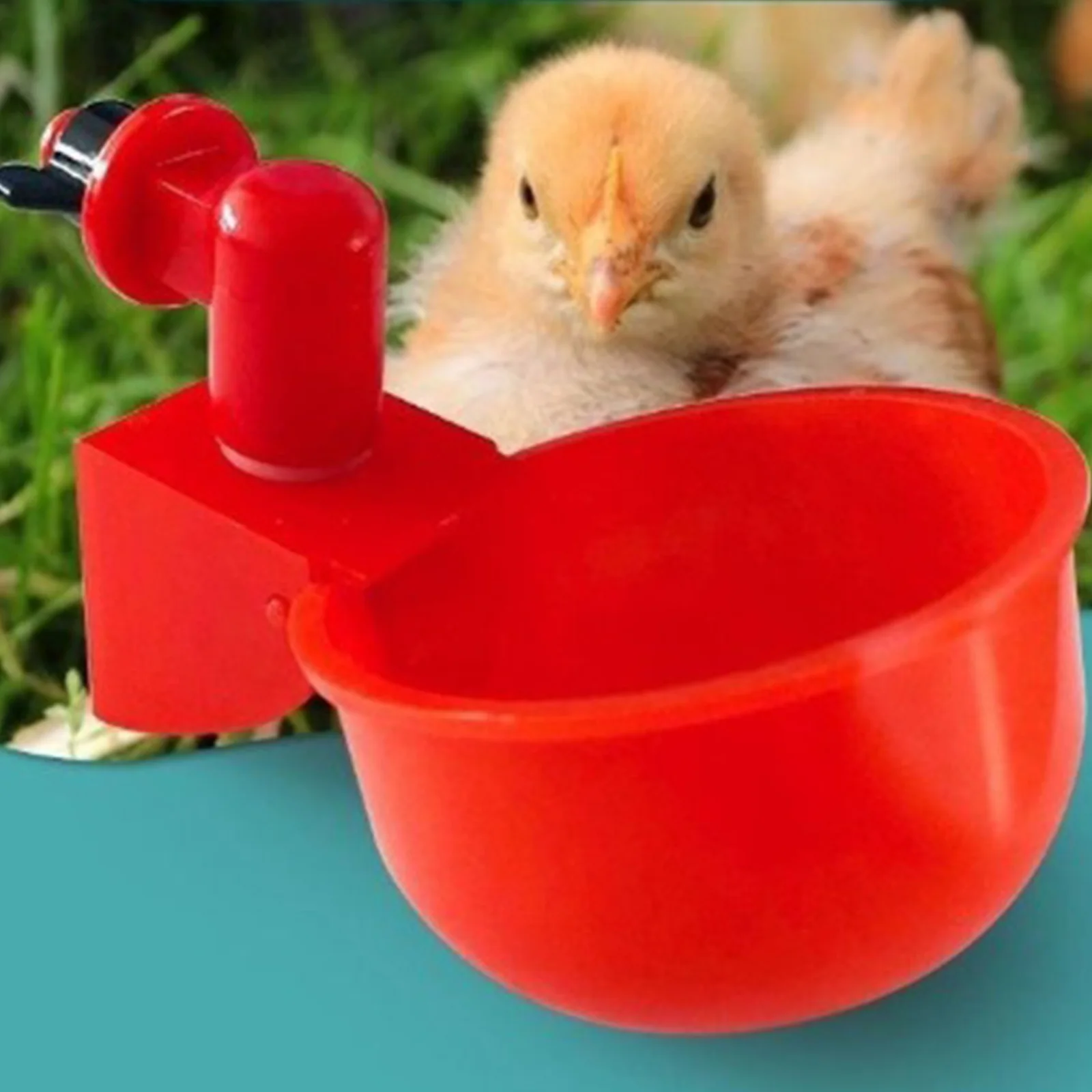 6-36 шт., чашка для питья кури – обзор и цена Chicken Nipple Drinker