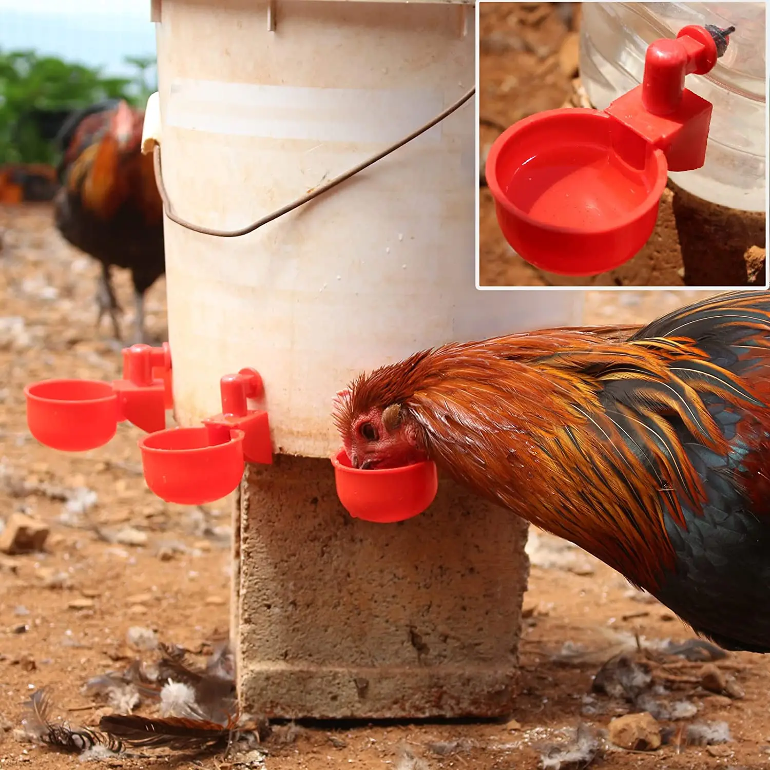 6-36 шт., чашка для питья кури – обзор и цена Chicken Nipple Drinker
