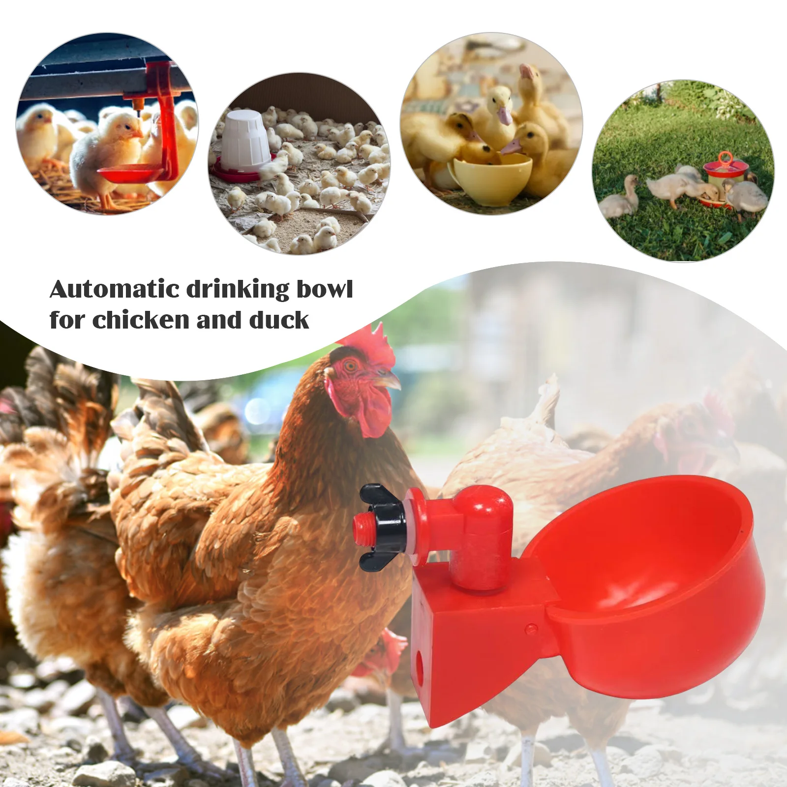 6-36 шт., чашка для питья кури – обзор и цена Chicken Nipple Drinker