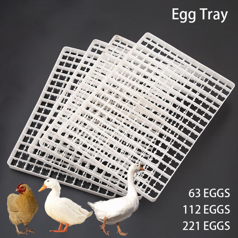 Лоток для яиц автоматический,  – обзор и цена Quail Egg Incubator
