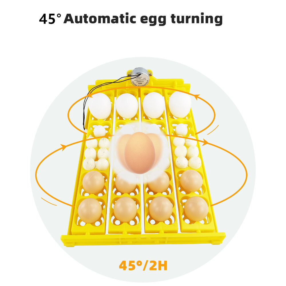 24 шт. лоток для инкубатора дл – обзор и цена Quail Egg Incubator