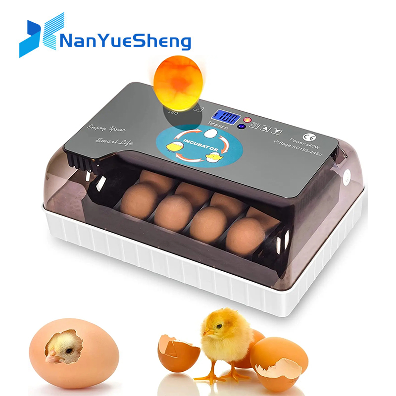 Автоматическая HHD лучшая цифр – обзор и цена Quail Egg Incubator