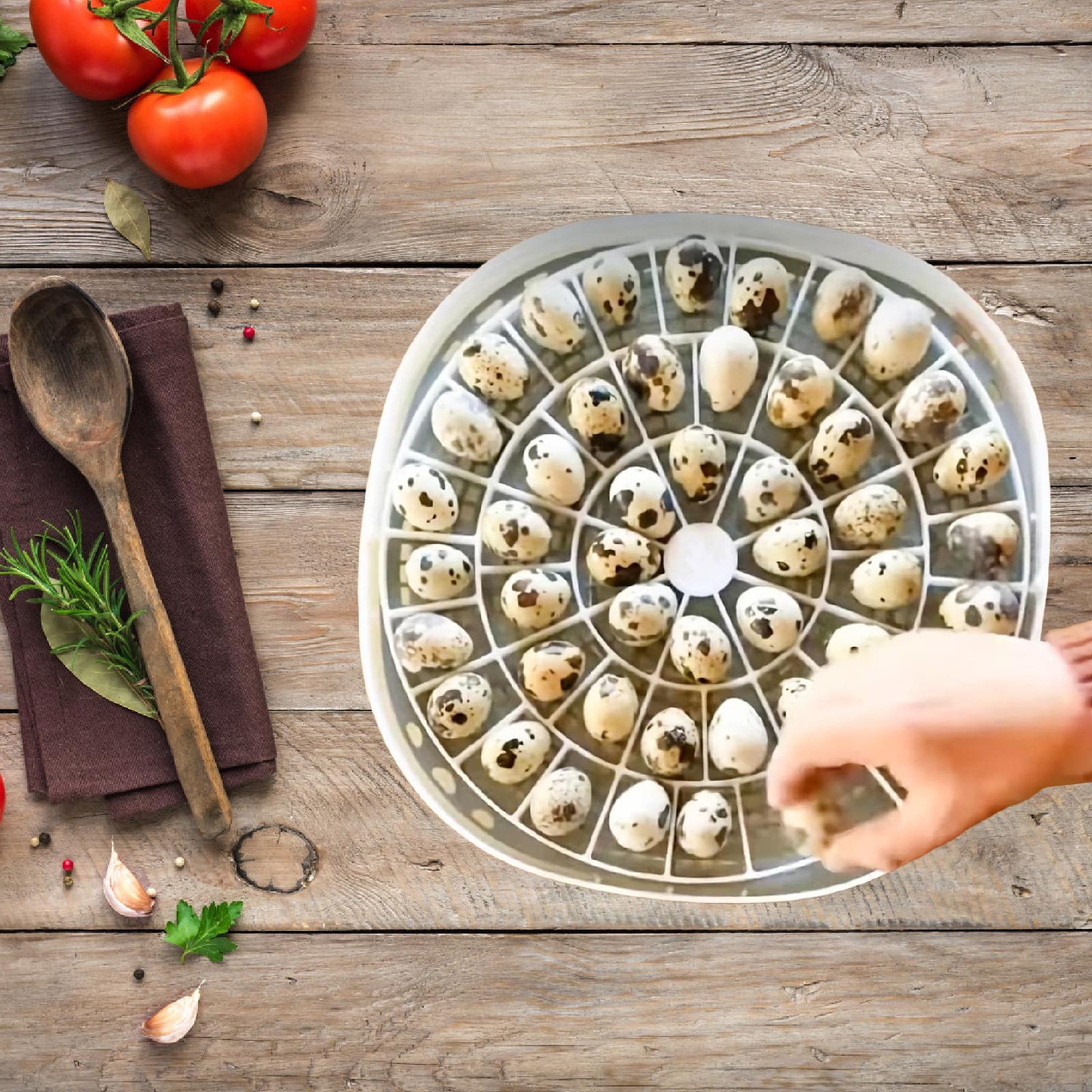 Небольшой лоток для перепелины – обзор и цена Quail Egg Incubator