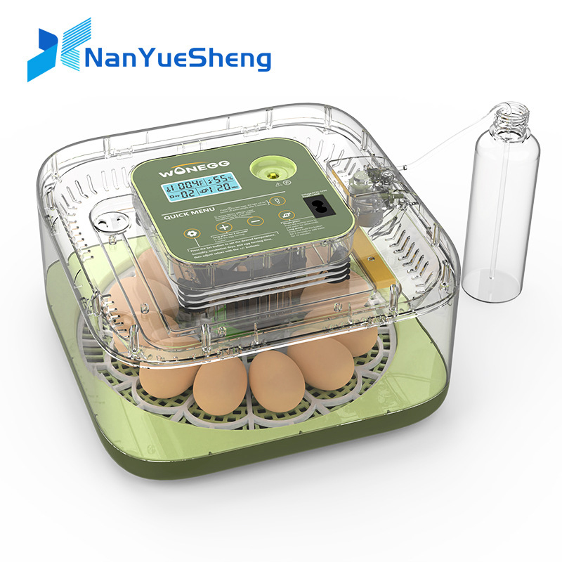 Новый 12-керный инкубатор для  – обзор и цена Quail Egg Incubator